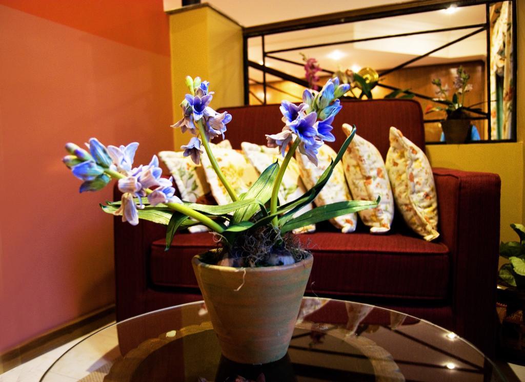 Hotel Bristol Асунсион Екстериор снимка