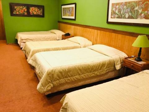 Hotel Bristol Асунсион Екстериор снимка